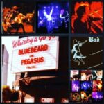 From Garage to NASDAQ: Vincent Bitetti on Innovation, Licensing, and the Future of Gaming | PolariStory 4